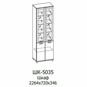 ШК-5035 Шкаф МЦН (АС-БГ)