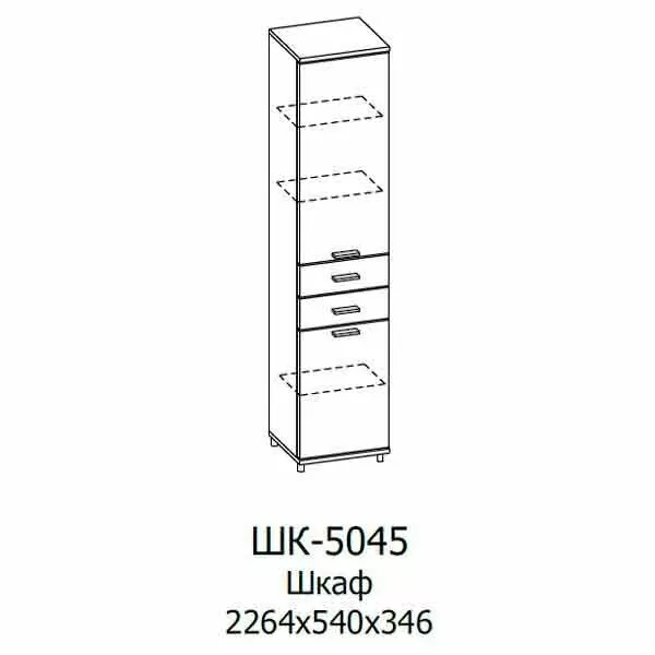 ШК-5045 Шкаф МЦН (ГТ-ЛМ)