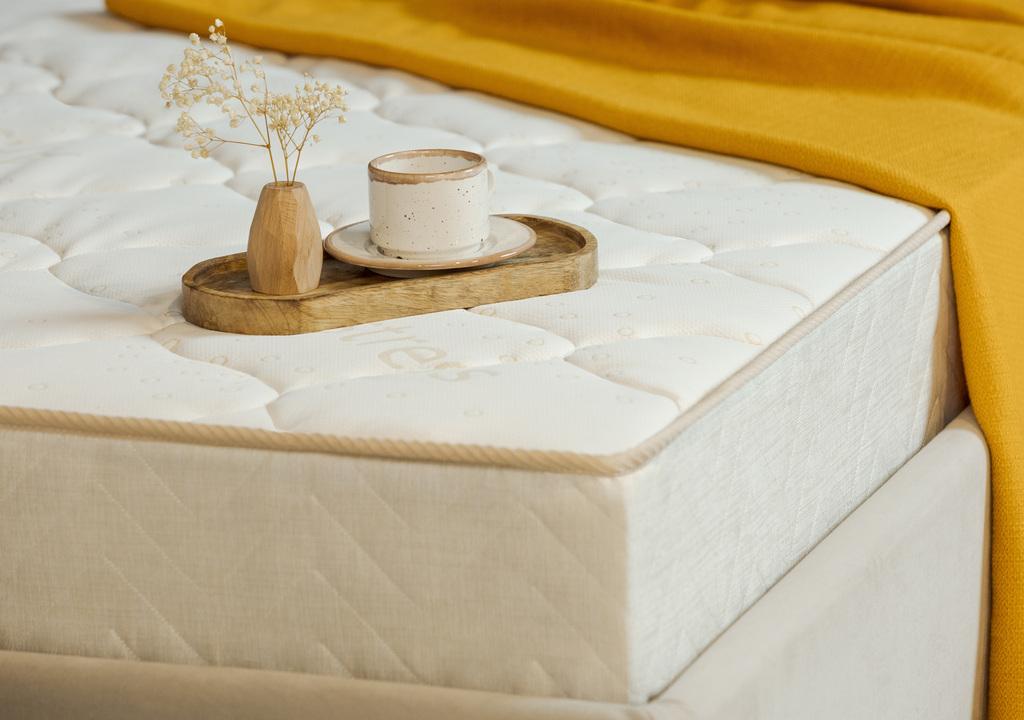200*120 ASKONA Sleep Tonic Guru (средняя, ask)