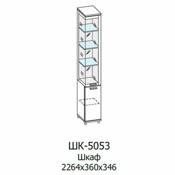 ШК-5053 Шкаф МЦН (СЯ-БГ)