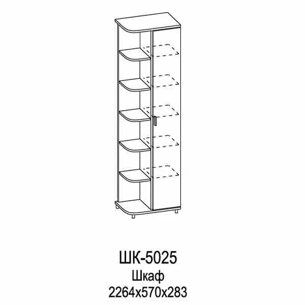 ШК-5025 Шкаф МЦН (ГТ-БГ)
